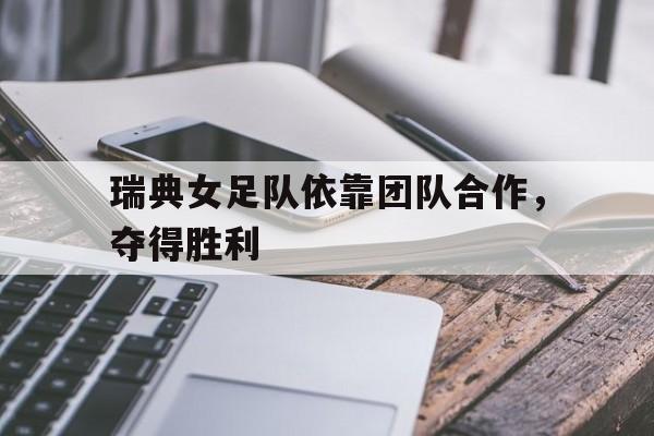 开云手机在线登陆-瑞典女足主力阵容