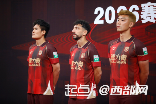 瑞典球队实力如何