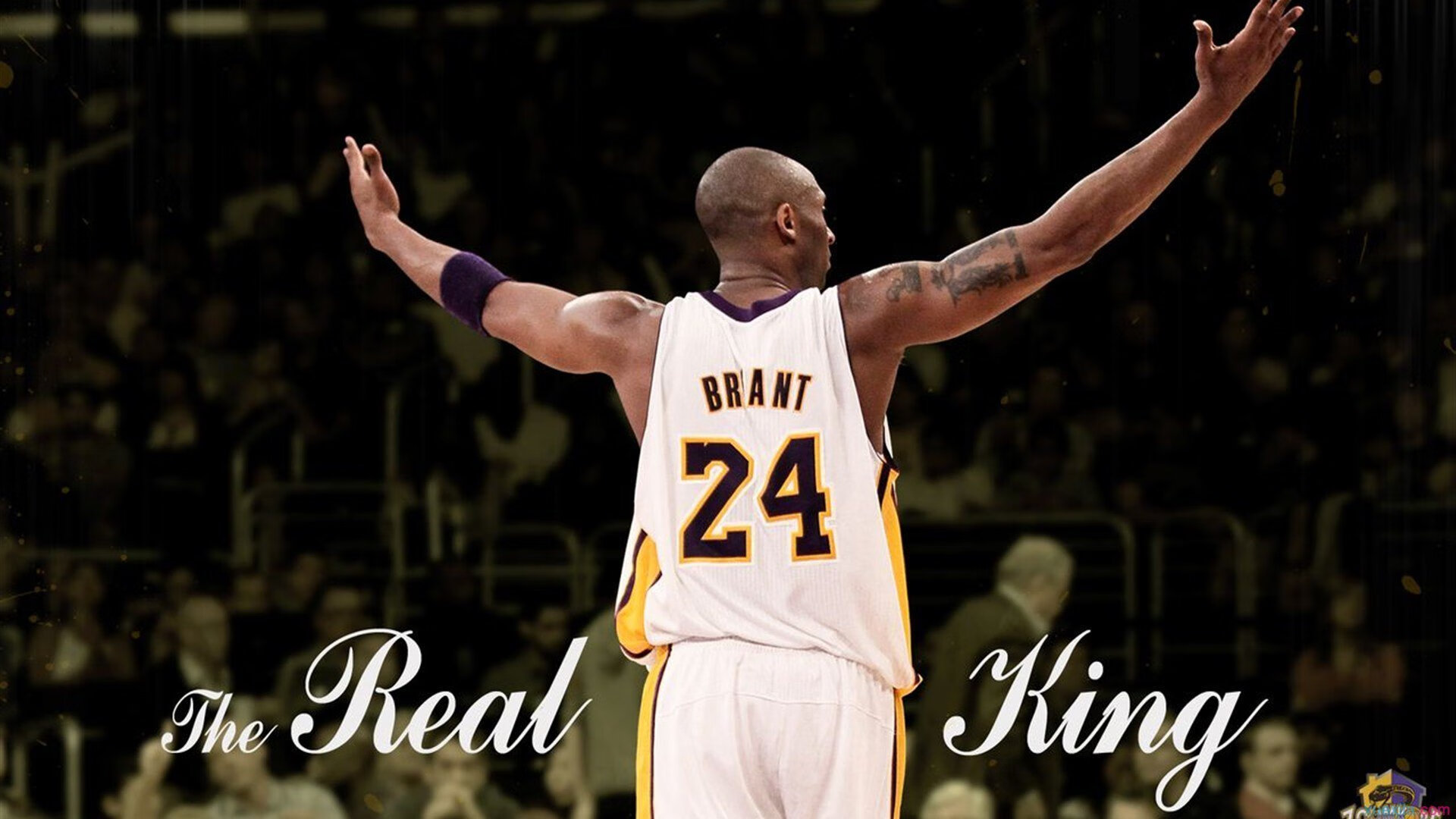 国际米兰现场直播